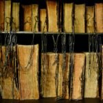 photo-1557263985-7defaccb7137