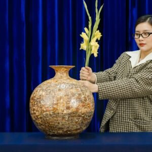 photo-1752718071652-c3139c51c22b